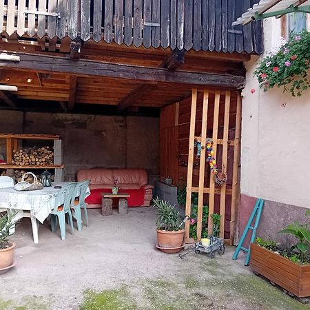 Appartement Spacieux Dans Joli Village Alsacien Châtenois Exterior photo