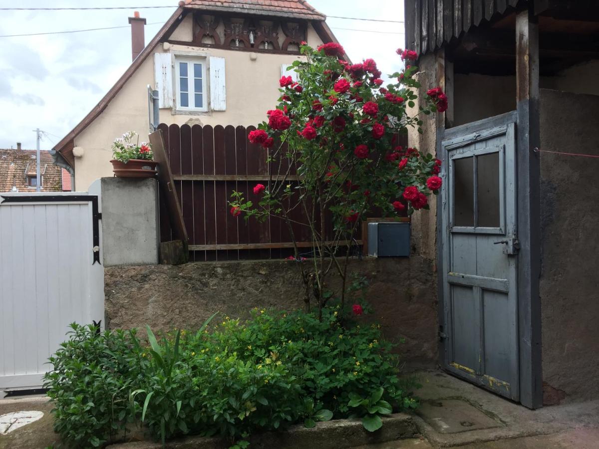 Appartement Spacieux Dans Joli Village Alsacien Châtenois Exterior photo