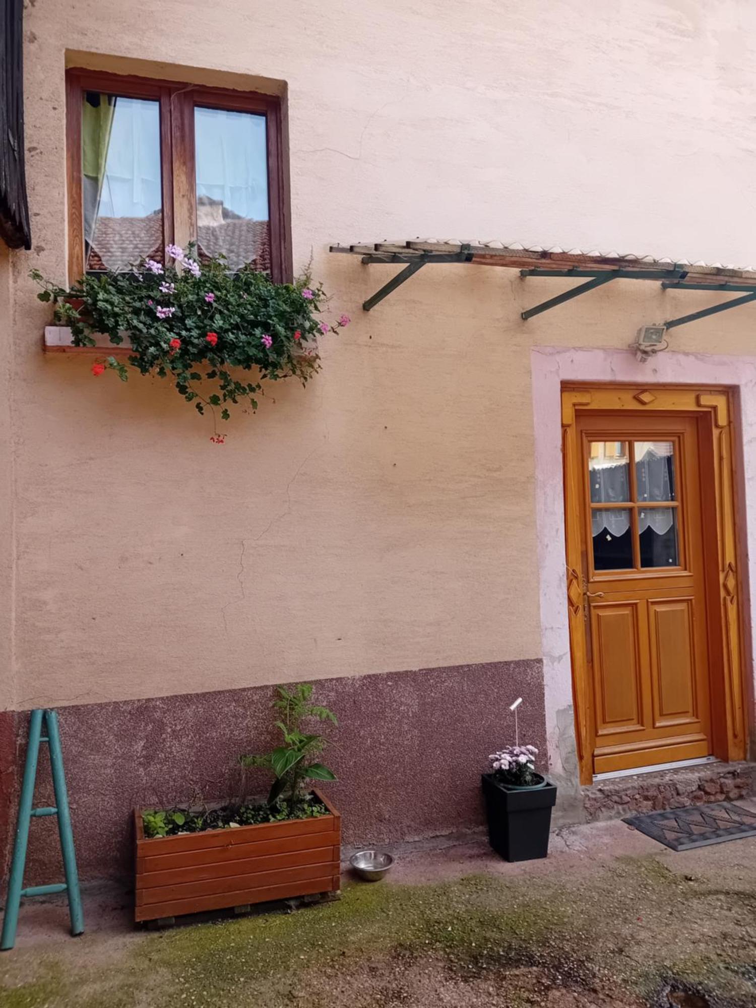 Appartement Spacieux Dans Joli Village Alsacien Châtenois Exterior photo