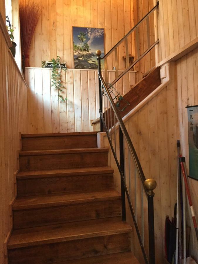 Appartement Spacieux Dans Joli Village Alsacien Châtenois Exterior photo