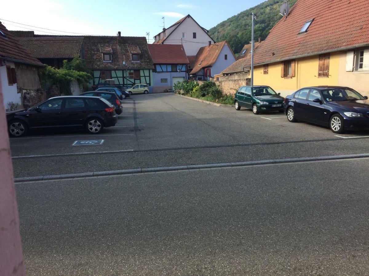 Appartement Spacieux Dans Joli Village Alsacien Châtenois Exterior photo